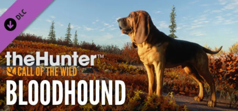 theHunter: Call of the Wild - Bloodhound DLC / Steam Ключ / Все ре… | АВТОВЫДАЧА 24/7