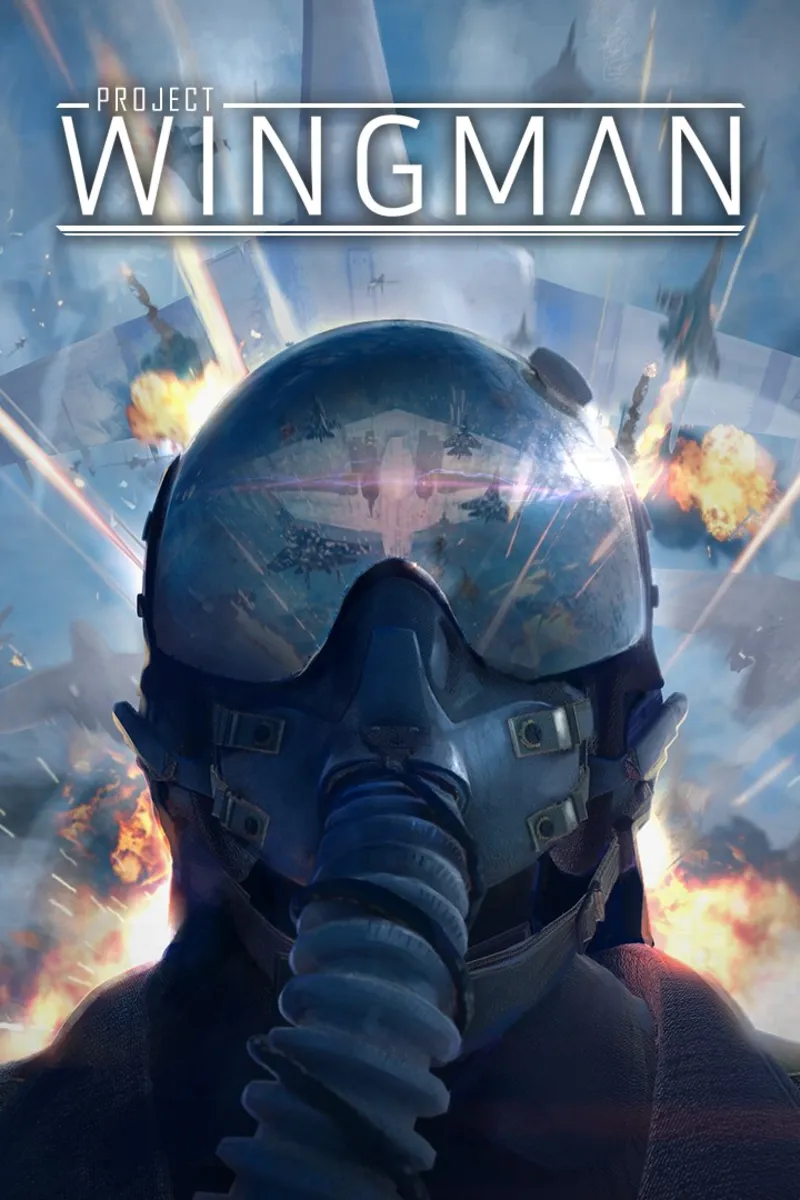 Project Wingman | XBOX+PC | На любой аккаунт