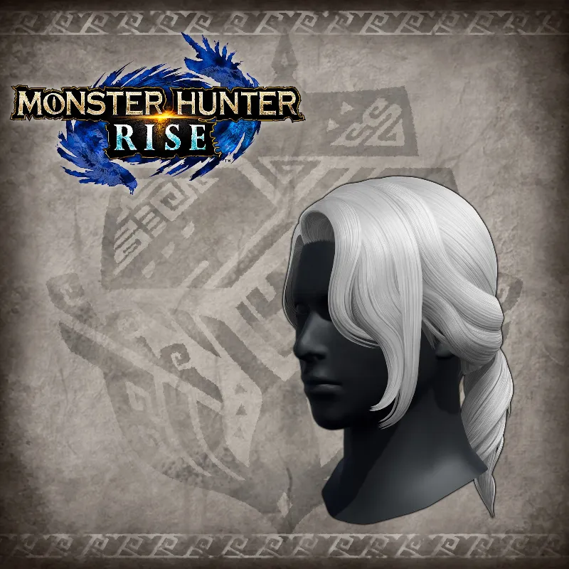 "Princely Tail" hairstyle | XBOX+PC | На любой аккаунт