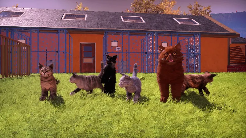 ВСЕ СТРАНЫ Animal Shelter 2 - Fluffy Cats Pack STEAM
