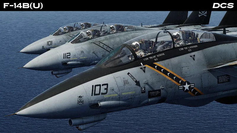 DCS: F-14B(U) by Heatblur Simulations DLC АВТОДОСТАВКА STEAM РОССИЯ