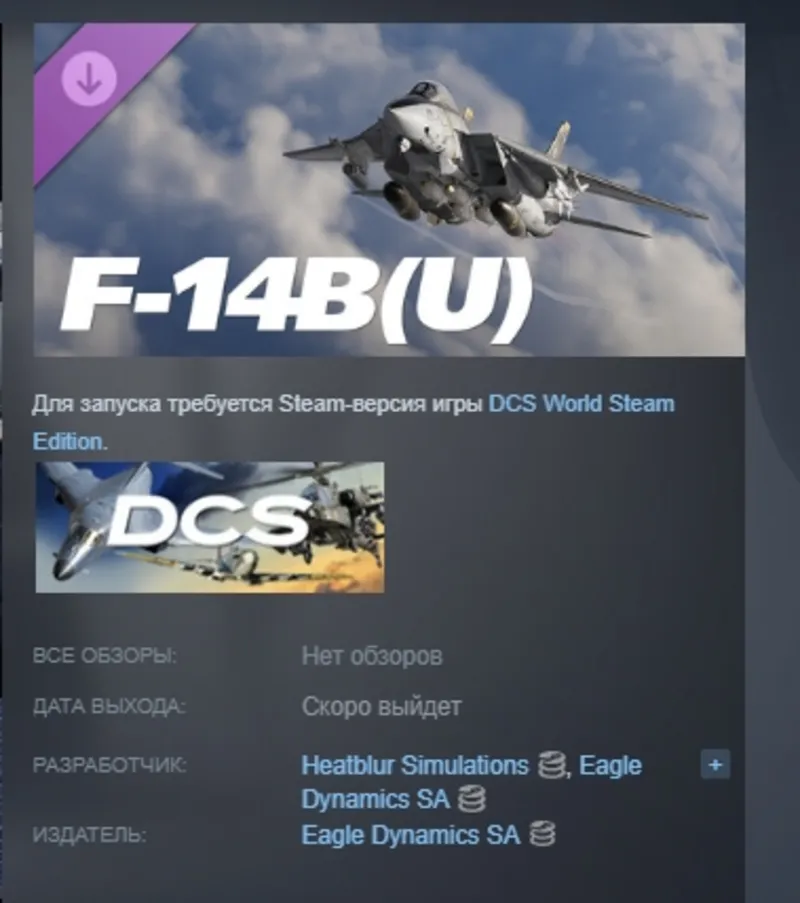 DCS: F-14B(U) by Heatblur Simulations DLC АВТОДОСТАВКА STEAM РОССИЯ