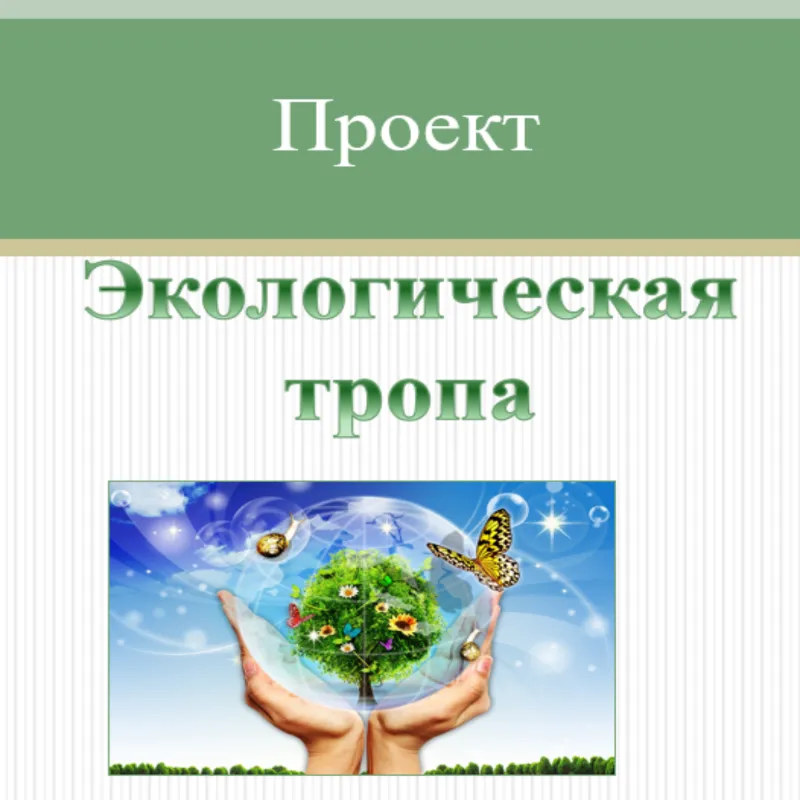 Проект Экологическая тропа. Полный паспорт и описание