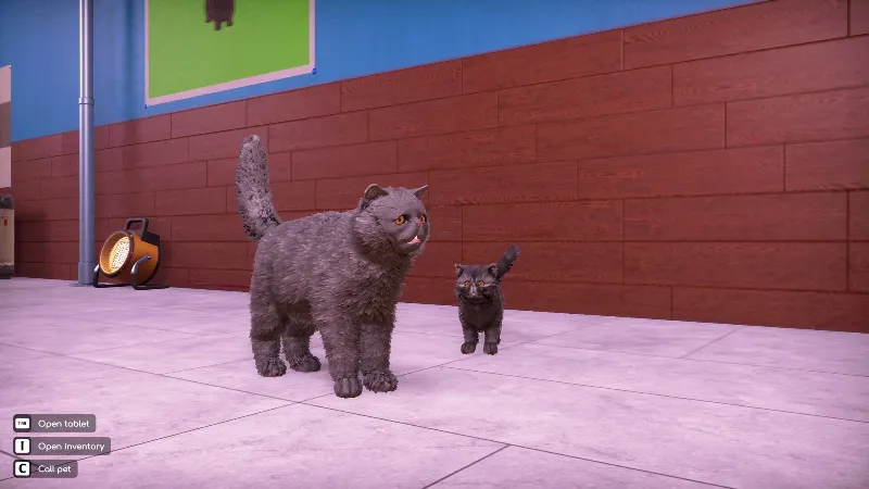 ВСЕ СТРАНЫ Animal Shelter 2 - Fluffy Cats Pack STEAM