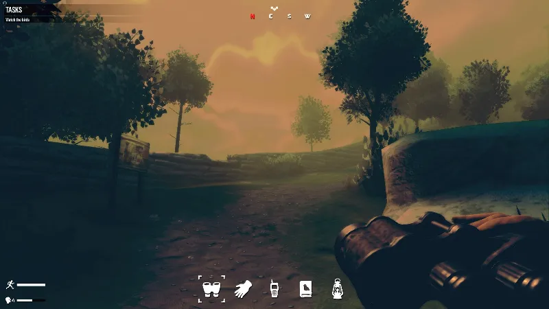 Birds Watching (Steam ключ / РФ+Весь Мир)