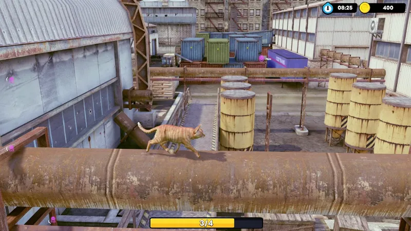 Little Strays: Legacy Edition Xbox One|X|S активация
