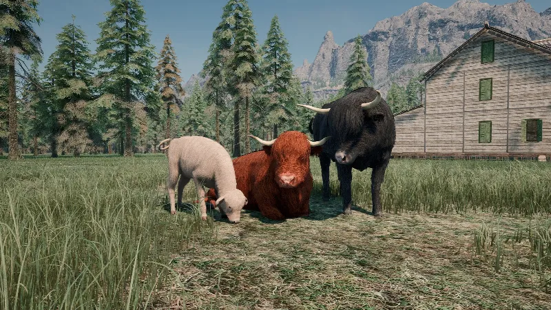ВСЕ СТРАНЫ+РОССИЯ Ranch Simulator: Highland Cow DLC