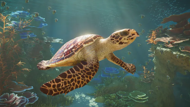 PLANET ZOO 2 XBOX|XS+PC WIN КЛЮЧ