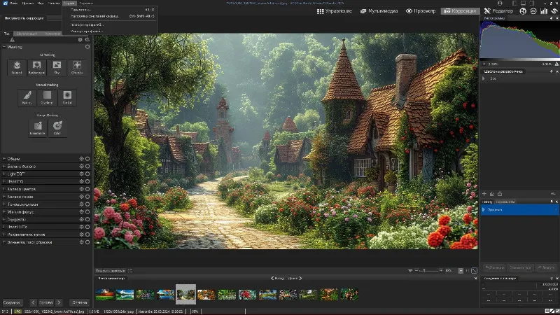 ACDSee Photo Studio Professional 2025 | Лицензионный ключ. Глубокая обработка фото