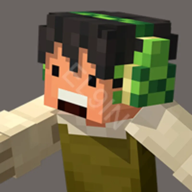 Minecraft Turtle Tunes