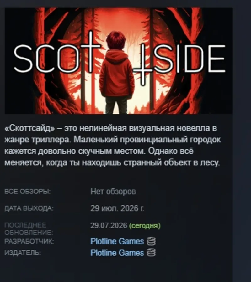 Scottside АВТОДОСТАВКА STEAM GLOBAL МГНОВЕННО ЛИЦЕНЗИЯ