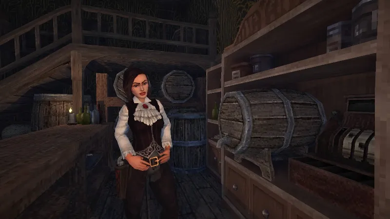 ВСЕ СТРАНЫ+РОССИЯ Blood West: Scavengers STEAM GIFT