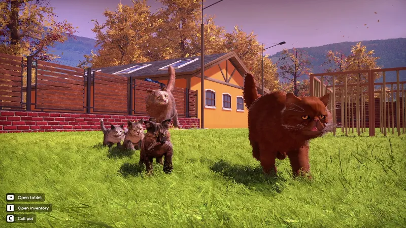 ВСЕ СТРАНЫ Animal Shelter 2 - Fluffy Cats Pack STEAM