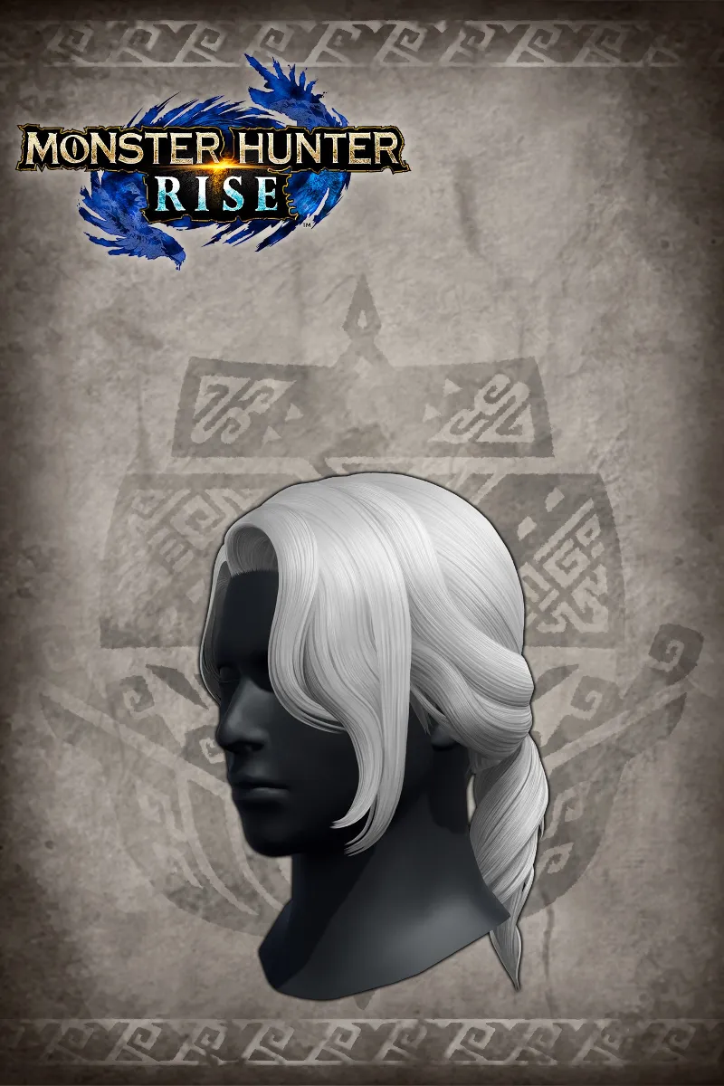 "Princely Tail" hairstyle | XBOX+PC | На любой аккаунт