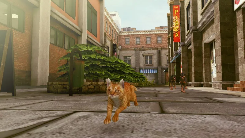 LITTLE STRAYS 2 XBOX КЛЮЧ/КОД