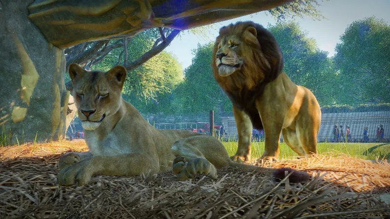 Planet Zoo: Ultimate Edition 2021 EU Steam КЛЮЧ ЕВРОПА