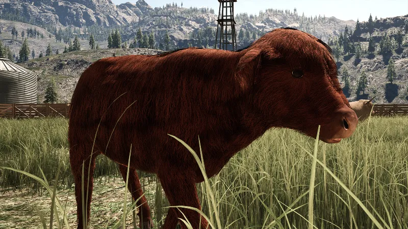 ВСЕ СТРАНЫ+РОССИЯ Ranch Simulator: Highland Cow DLC