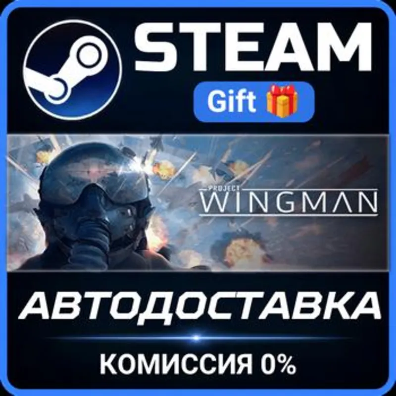 Project Wingman Steam Gift СТИМ ГИФТ ПК АВТОДОСТАВКА ПОДАРОК