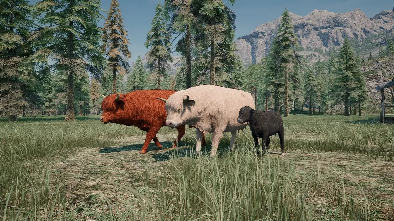 ВСЕ СТРАНЫ+РОССИЯ Ranch Simulator: Highland Cow DLC