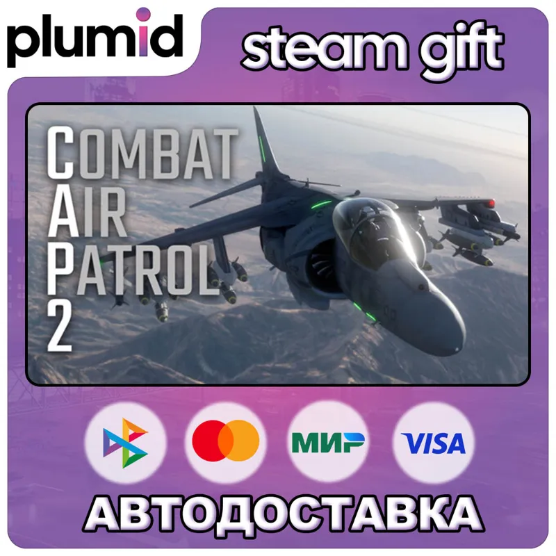 Combat Air Patrol 2: Military Flight Simulator Steam Gift / Россия + МИР / АВТО