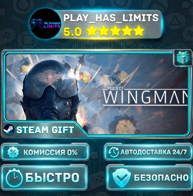 Project Wingman *RU/BY/UA/СНГ Steam Auto