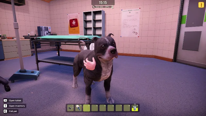 Animal Shelter 2 - Bull-Type Terriers Dogs Pack STEAM