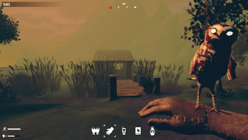 Birds Watching (Steam ключ / РФ+Весь Мир)