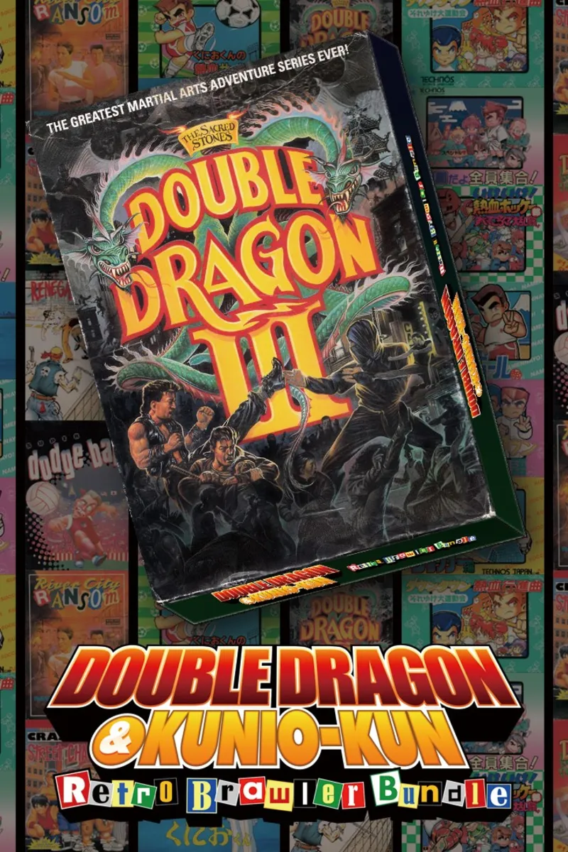 DOUBLE DRAGON : The Sacred Stones | XBOX | На любой аккаунт