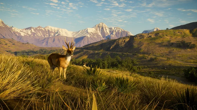 theHunter: Call of the Wild - Peru Hunting Reserve XBOX SERIES S|X + ONE КЛЮЧ/КОД СР
