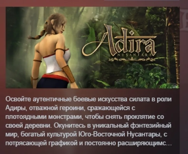 Adira Nusantara АВТОДОСТАВКА STEAM GLOBAL МГНОВЕННО ЛИЦЕНЗИЯ