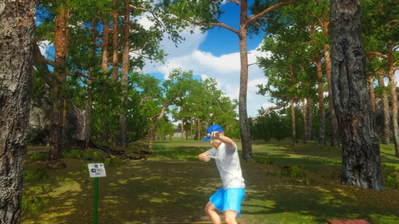 Disc Golf Masters STEAM GIFT AUTO RU+МИР