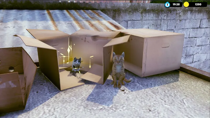 Little Strays - Havana Xbox One|X|S активация
