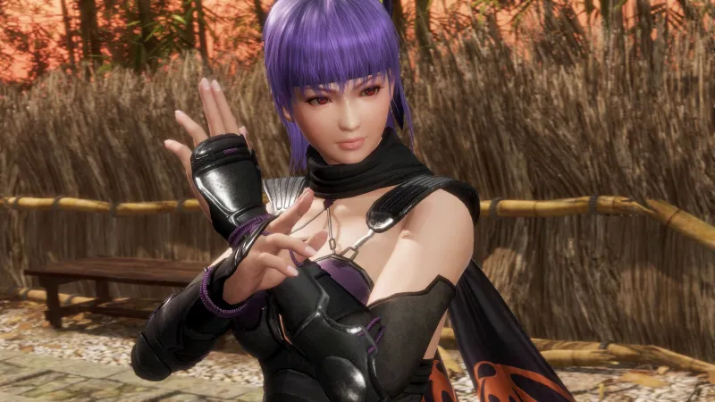 DEAD OR ALIVE 6 Last Round NA/ Steam КЛЮЧ
