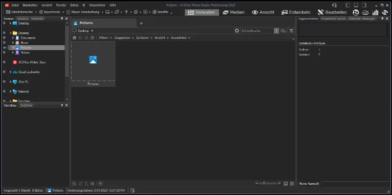 ACDSee Photo Studio Professional 2025 Лицензионный ключ на 1 год Немецкая версия
