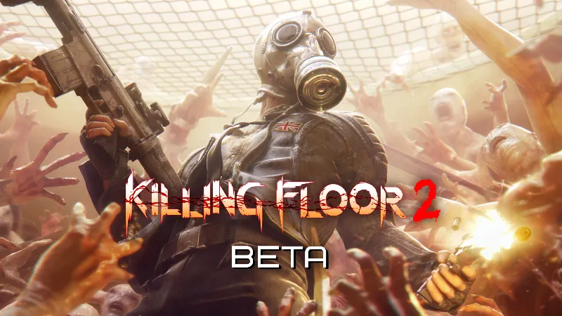 Epic KillingFloor2Beta аккаунт+почта