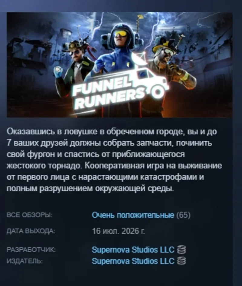 Funnel Runners АВТОДОСТАВКА STEAM GLOBAL МГНОВЕННО ЛИЦЕНЗИЯ