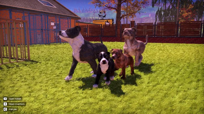 Animal Shelter 2 - Bull-Type Terriers Dogs Pack STEAM