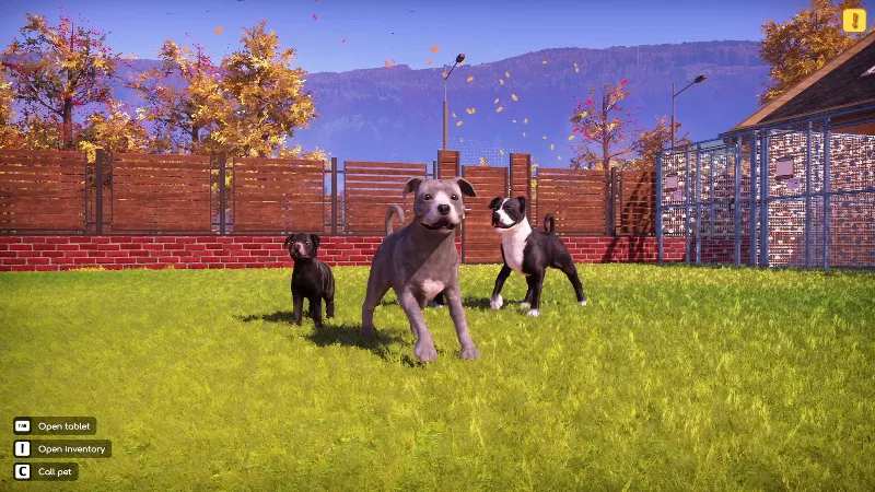 Animal Shelter 2 - Bull-Type Terriers Dogs Pack STEAM