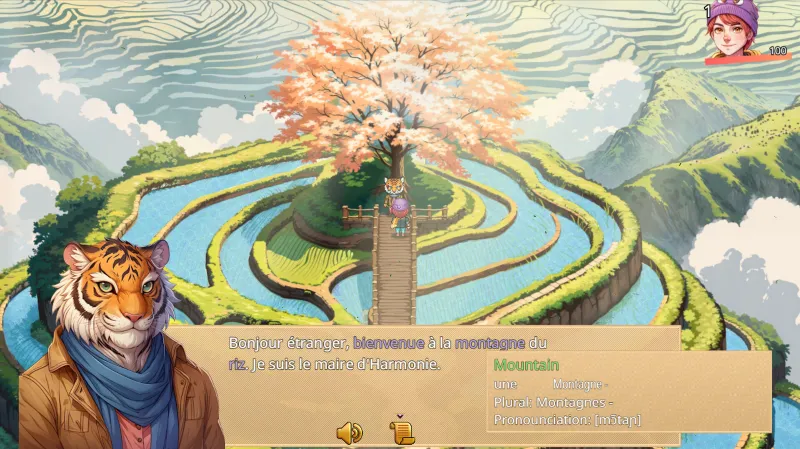 ВСЕ СТРАНЫ+РОССИЯ WonderLang French STEAM GIFT