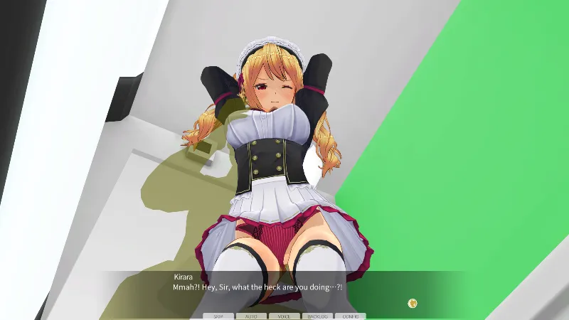 CUSTOM ORDER MAID 3D2&2.5 + V02 DLC АВТОДОСТАВКА STEAM РОССИЯ