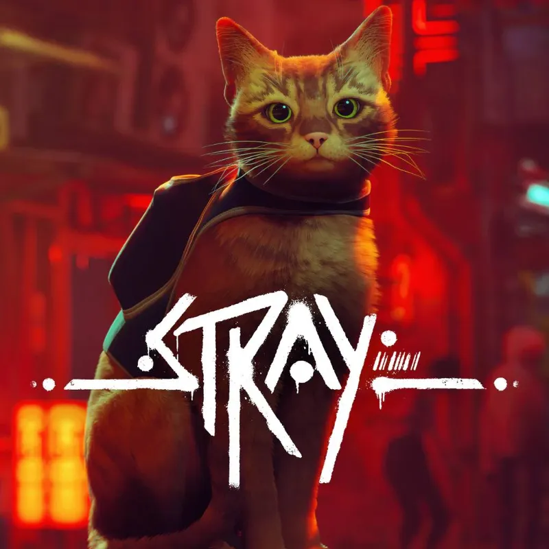 Stray PS4 PS5 | П2|П3