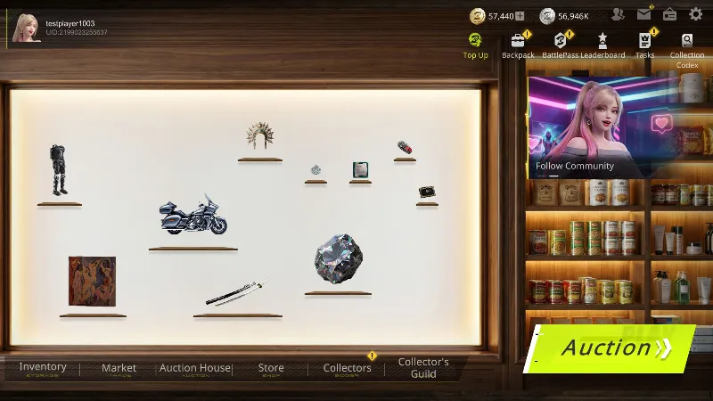 ВСЕ СТРАНЫ+РОССИЯ BidKing STEAM GIFT