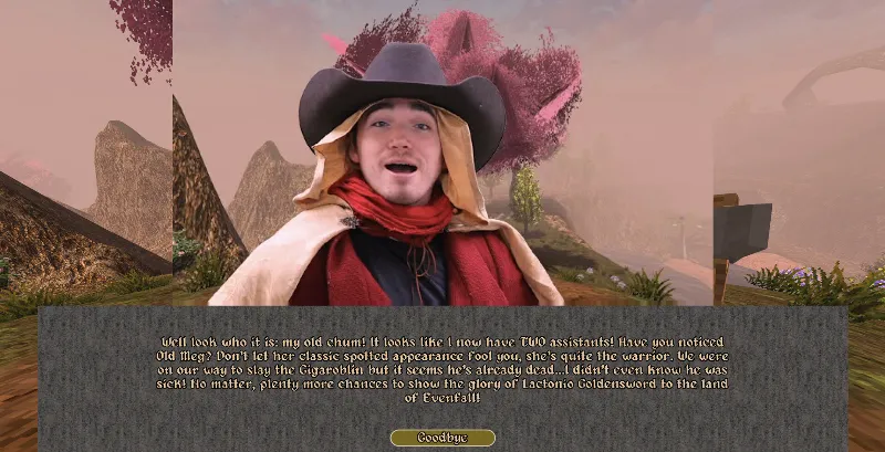 ВСЕ СТРАНЫ+РОССИЯ Wizzerd Quest 2 STEAM GIFT