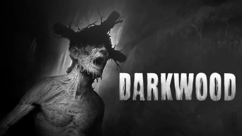 Epic Darkwood аккаунт+почта