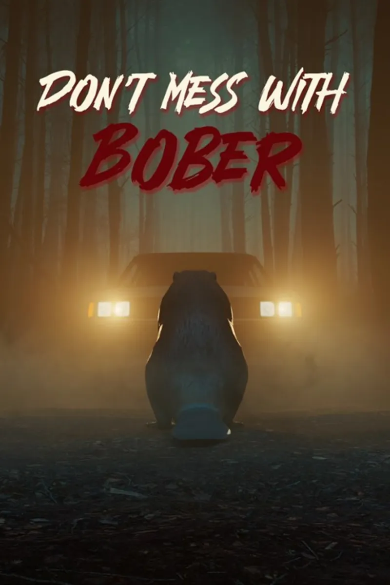 Don't Mess With Bober Xbox One|X|S активация