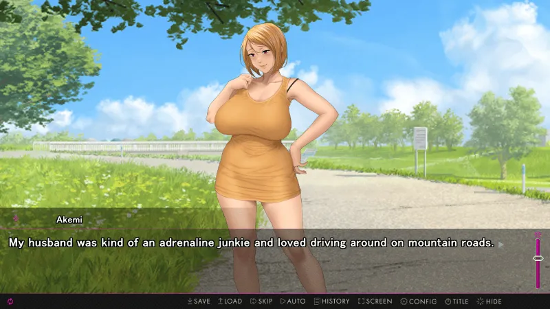 Afternoon Affairs & Helpless Housewives STEAM GIFT