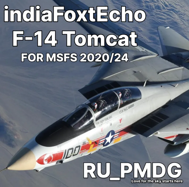 indiaFoxtEcho F-14 Tomcat for MSFS2020/24
