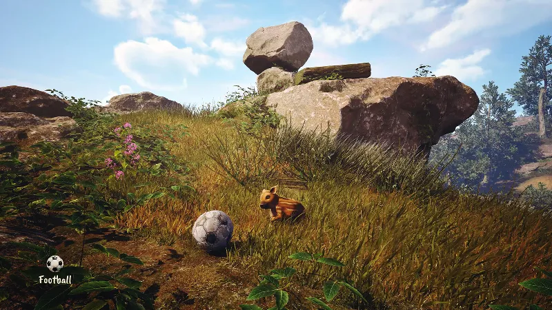 Adorable Adventures XBOX SERIES X|S Цифровой Ключ