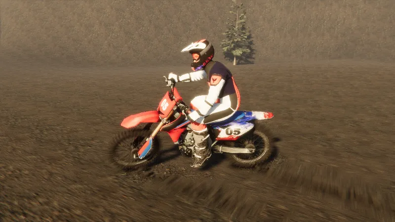 ВСЕ СТРАНЫ+РОССИЯ Enduro Unleashed STEAM GIFT