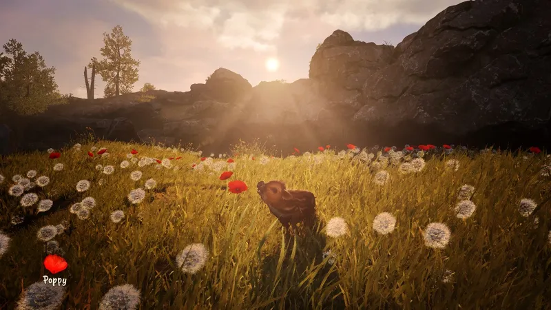 Adorable Adventures Xbox Series X|S активация